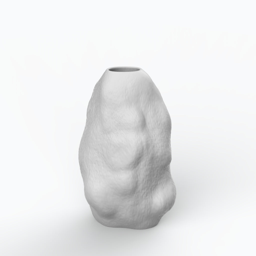 Jatobá G Porcelain Vase (h cm) - Holaria