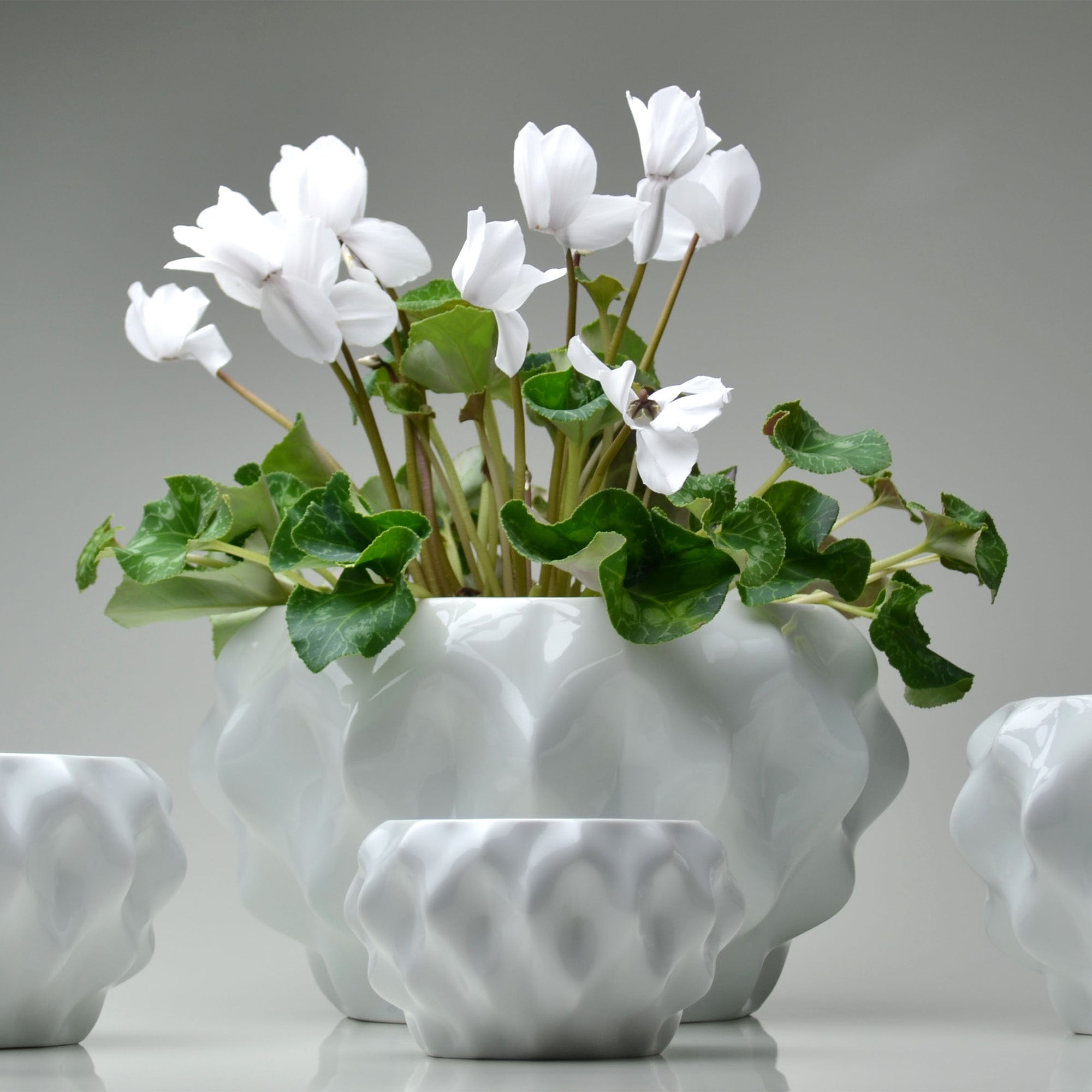 Plissan M Porcelain Pot (h12 cm) - Holaria