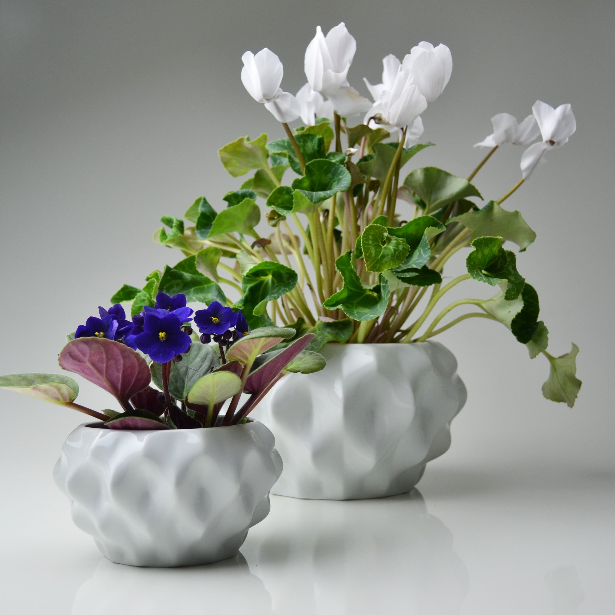 Plissan G Porcelain Pot (h15 cm) - Holaria