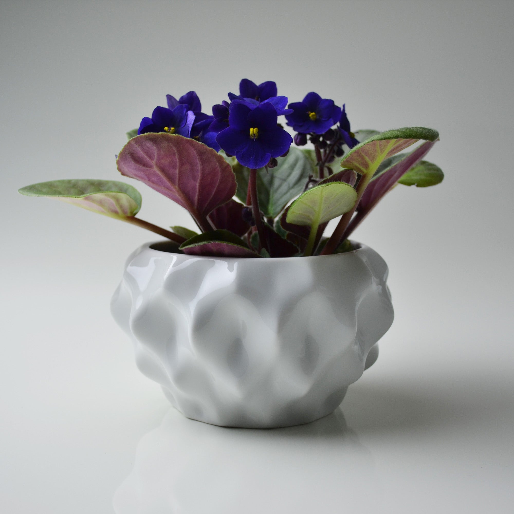 Plissan G Porcelain Pot (h15 cm) - Holaria