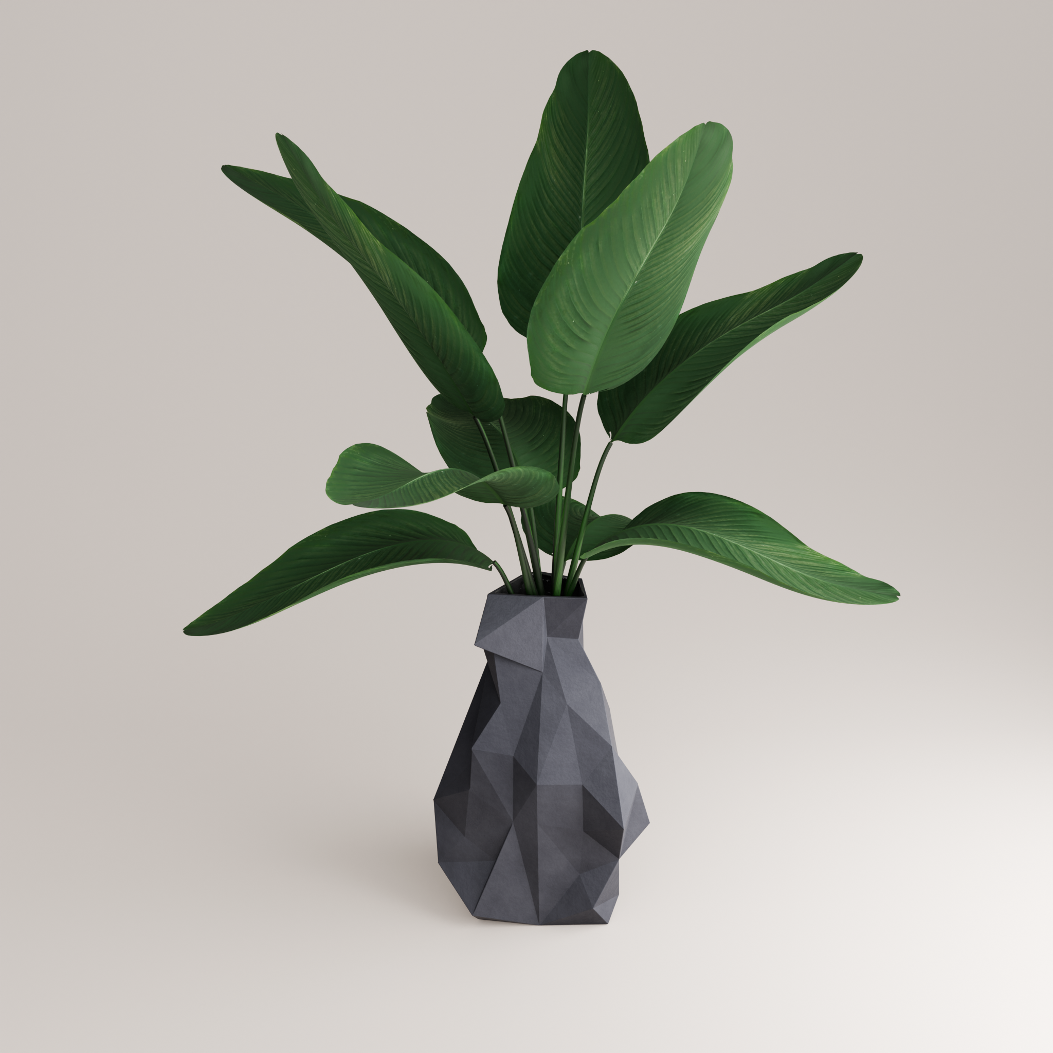 Simplexxa 4 Porcelain Vase (h37 cm) - Holaria